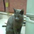 간석4동-3 이미지