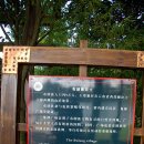 몽고반점 이미지