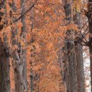 동구구립안심도서관 이미지