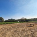 숲뜰근린공원 이미지