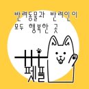 펫플 이미지