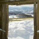 겨울아침창가에서 이미지