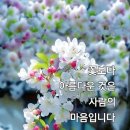 행복한아침 이미지