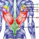 KYFIT퍼스널트레이닝센터 네이버블로그