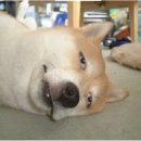 카페몬지 판교점 이미지