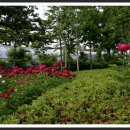 실내체육관 앞 이미지