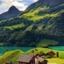 티엠아이 이미지