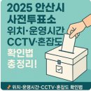 경기 안산시 사전투표소 위치 및 운영 현황 총정리: CCTV 설치·혼잡도·투표소 개수까지 한눈에 확인!