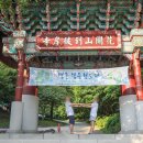 도피안사 이미지