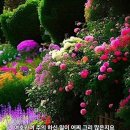 눈부신아침 이미지