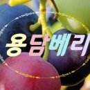 용담농산물