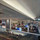 YOLO(욜로)민박 | 혼자 다녀온 토론토 4박 5일 여행기(나이아가라폭포,다운타운 맛집,카페추천)