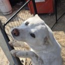 평동 | 광주 평동 골메골 솔직후기｜명화식당 웨이팅 대신, 김치두루치기가 답 (내돈내산)