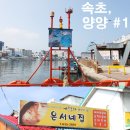 강원도1박2일여행코스]속초,양양,설악산... 이미지