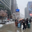손질 필요없는 레이어드 펌을 원한다면 명동 미용실인 명동 에이뮤 헤어에서 !