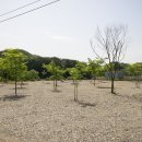 한반도리버2 이미지