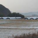 금호한우농장 이미지