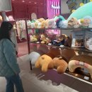 프랜즈샵 이미지