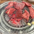 (주)새람 이미지