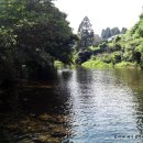 솜반내(솜반천) 이미지