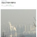 시티카페강남 이미지
