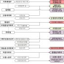조항 이미지