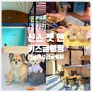 전남환경 | 전남 키즈 글램핑 애견 동반 숙소 '신스 펫 앤 키즈글램핑' 추천 후기