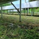 성인태양광발전소 이미지