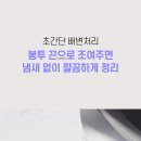 펫페이지 이미지