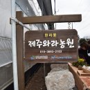 와라농장 이미지