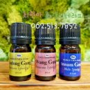 퍼진궁뎅이 이미지