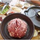 산천오리 이미지