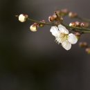 선산읍행정복지센터 이미지