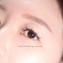 삐삐 | 자연스러운 인조속눈썹 키보 노글루 속눈썹 삐삐래쉬 네추럴 후기