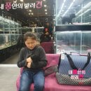 내 품안의 반려견(강서점) 이미지