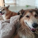 허그안리트릿 이미지