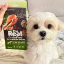 하림유통 | '하림 더리얼 그레인프리 크런치 연어' 내돈내산 기호성 솔직후기