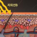 생로병사의 비밀 '피부 더 젊게 더 건강하게' 피부암 예방 효과 이미지