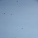 보림농장 이미지