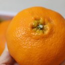 태형농장 이미지