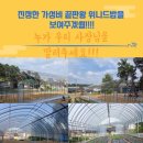 이디야커피 미사강변스카이폴리스점 | 하남 미사 한식뷔페 맛집 스카이폴리스 밥집 위니드밥 (생맥주까지!)