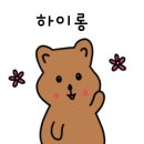 다온 합기도 이미지