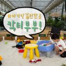 하원 후 27개월 아들과 다녀온 일산 칵티부부 선인장 농장 방문 후기!