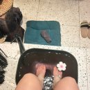 테라타이 | 여의도 영등포 마사지ㅣ 더 테라타이 후기