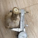 홍산농장 이미지