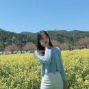 비치힐스파펜션 이미지