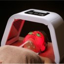 힐라이트 이미지