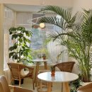 카페레브 이미지