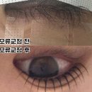 뷰티인사이드안산점 속눈썹펌 왁싱 이미지