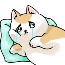 집사의하루 혜화점 이미지